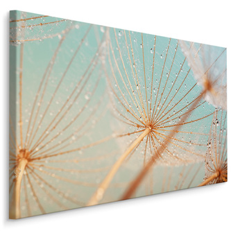 Plátno Vodní Kapky