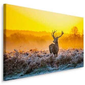 Plátno Jelen Za Úsvitu