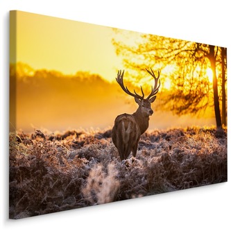 Plátno Jelen V Ranním Slunci