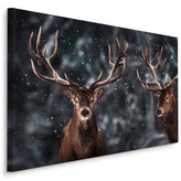 Plátno Dva Velkolepí Jeleni