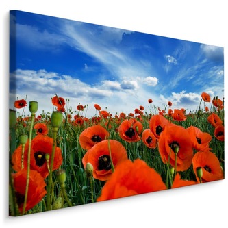Plátno Kvetoucí Máky Na Louce 3D