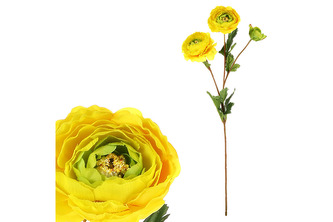 Dekorace - Ranunkulus žlutý