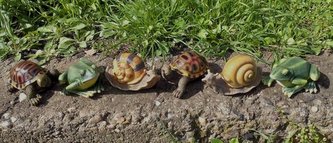 Žába, želva, šnek poly střední