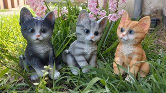 Kočka polyston sedící