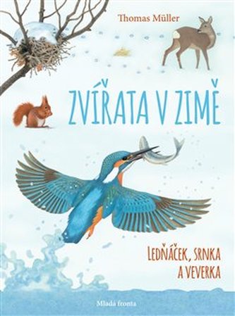 Zvířata v zimě - Ledňáček, srnka a veverka