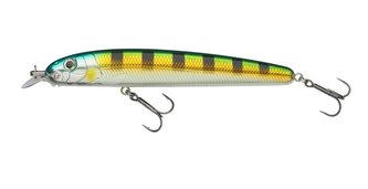 Beast Hi-Lo SK 14cm Striped Ayu