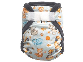 Svrchní kalhotky (M) - Kočičí snění SZ