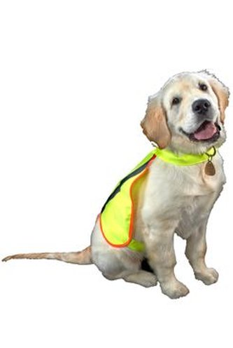 Vesta reflexní pro psy L KRUUSE