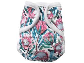 Svrchní kalhotky (M) - Protea královská PAT