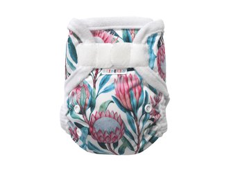 Svrchní kalhotky (S), bez křidélek - Protea královská SZ