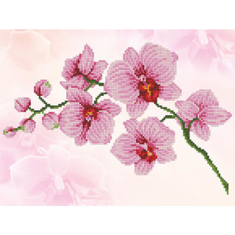 DIAMOND DOTZ Orchidej DIAMOND DOTZ Orchidej