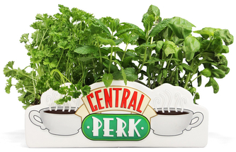Dekorační váza - květináč Friends|Přátelé: Central Perk (30 x 13 x 10 cm)