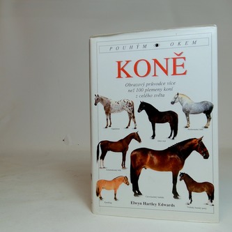 Koně