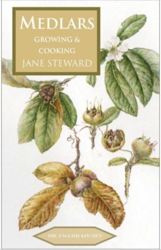 Medlars Medlars
