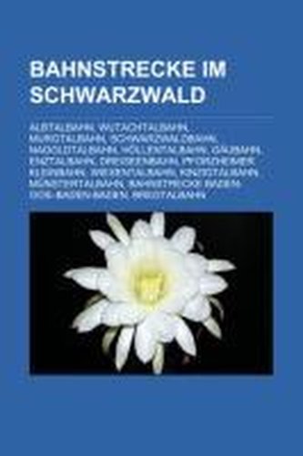 Bahnstrecke im Schwarzwald