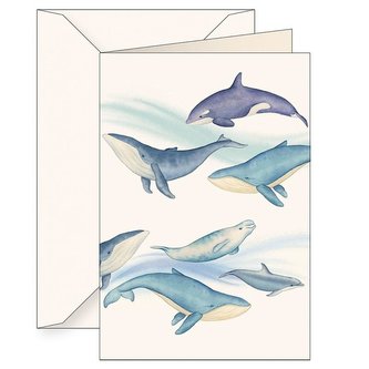 Karnet B6 + koperta 6144 Ssaki morskie