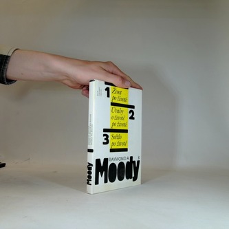 Život po životě, Úvahy o životě po životě, Světlo po životě