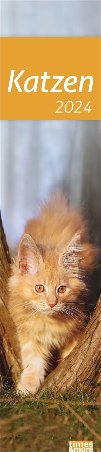 times&more Katzen Langplaner 2024