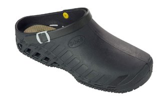 Scholl CLOG EVO  - pracovní obuv Profesional Velikost: 43