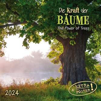 Die Kraft der Bäume 2024
