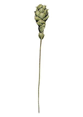 Artyčok okrasný. Květina umělá pěnová.