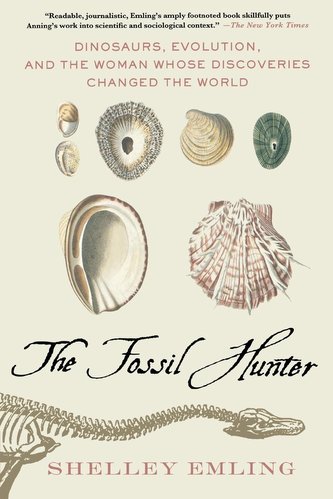FOSSIL HUNTER