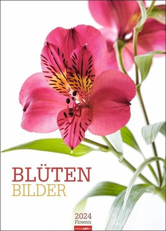 Blütenbilder Kalender 2024