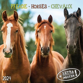 Horses/Pferde 2024
