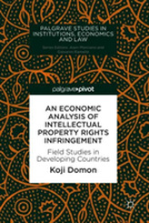 An Economic Analysis of Intellectual Property Rights Infringement