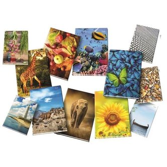 Záznamní kniha s rejstříkem, A4,linkovaná,96 listů