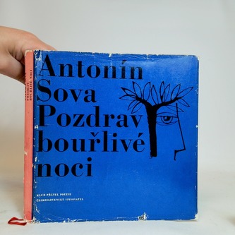 Pozdrav bouřlivé noci