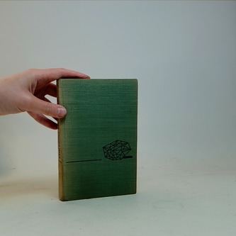 Anděl hraje na violu