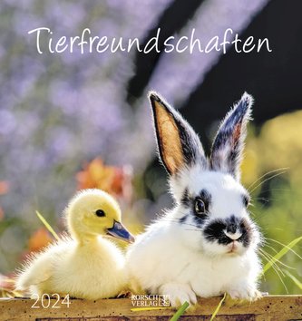 Tierfreundschaften 2024