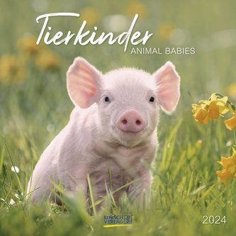 Tierkinder 2024