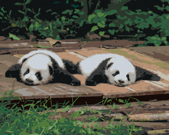 Malování podle čísel - PANDA LEŽÍCÍ NA DŘEVĚ - 40x50 cm, bez rámu a bez vypnutí plátna