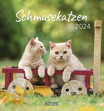 Schmusekatzen 2024