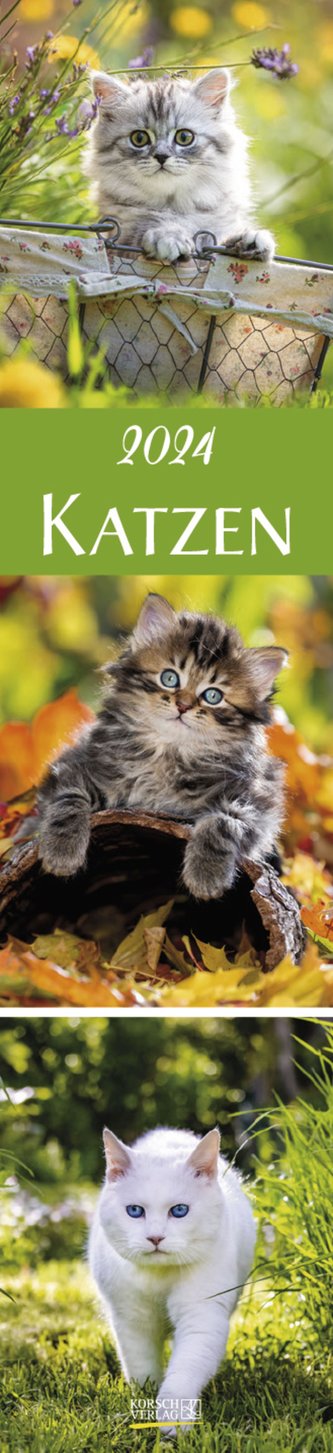 Katzen Langplaner 2024