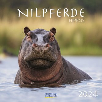Nilpferde 2024