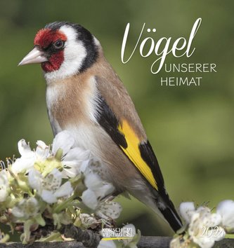 Vögel unserer Heimat 2024