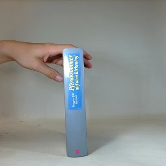 Pferdesommer auf dem Birkenhof