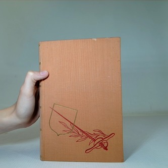 Důmyslný rytíř Don Quijote de la Mancha, IV.