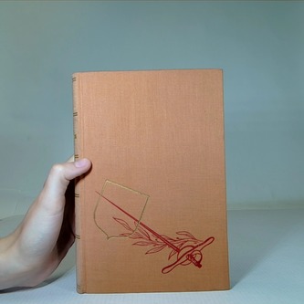 Důmyslný rytíř Don Quijote de la Mancha III.