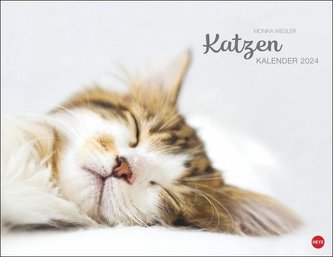 Katzenkalender 2024