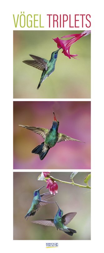 Vögel Triplets 2024