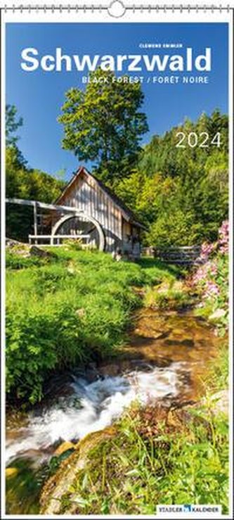 Schwarzwald, vertikal 2024