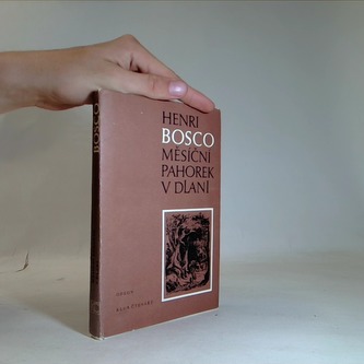 Měsíční pahorek v dlani