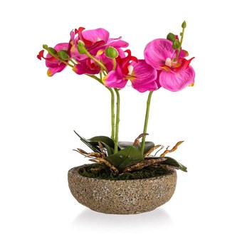 Fuchsie v betonovém květináči 21,5 x 14 cm
