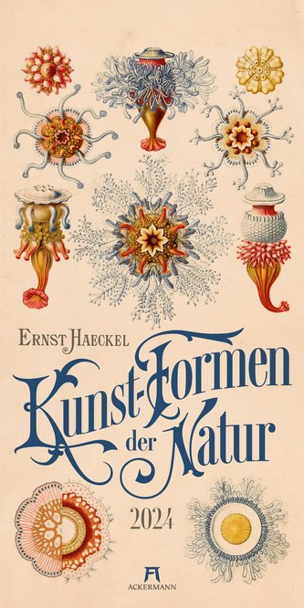 Kunst-Formen der Natur - Ernst Haeckel - Kalender 2024