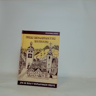 Mezi berounskými branami