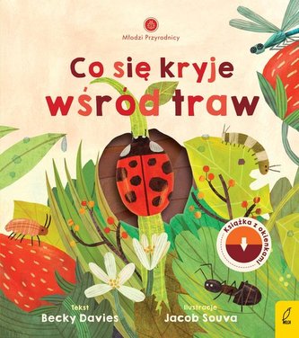 Młodzi przyrodnicy Co się kryje wśród traw Młodzi przyrodnicy Co się kryje wśród traw